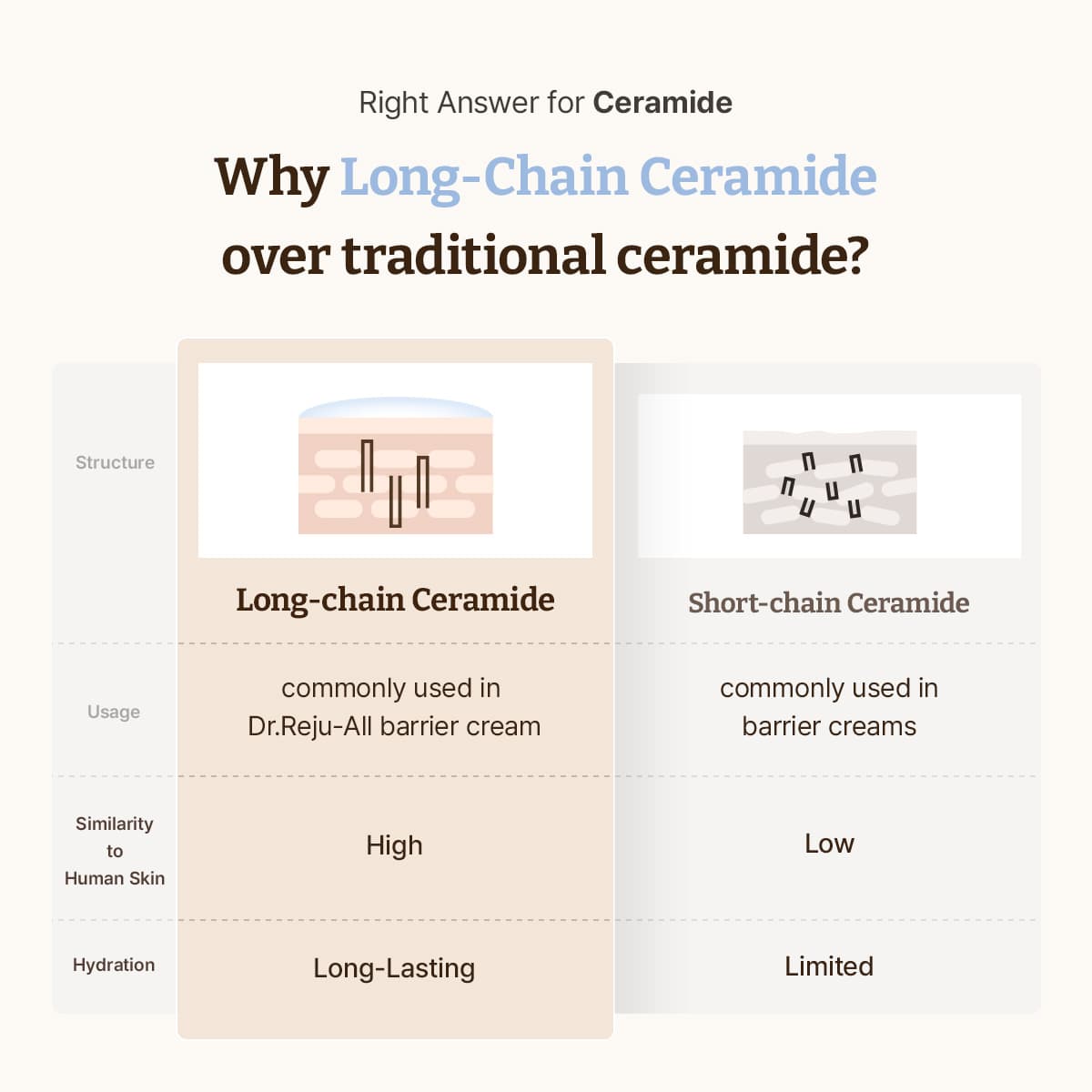 Ceramide Cream 범퍼페이지 템플릿 (Default)