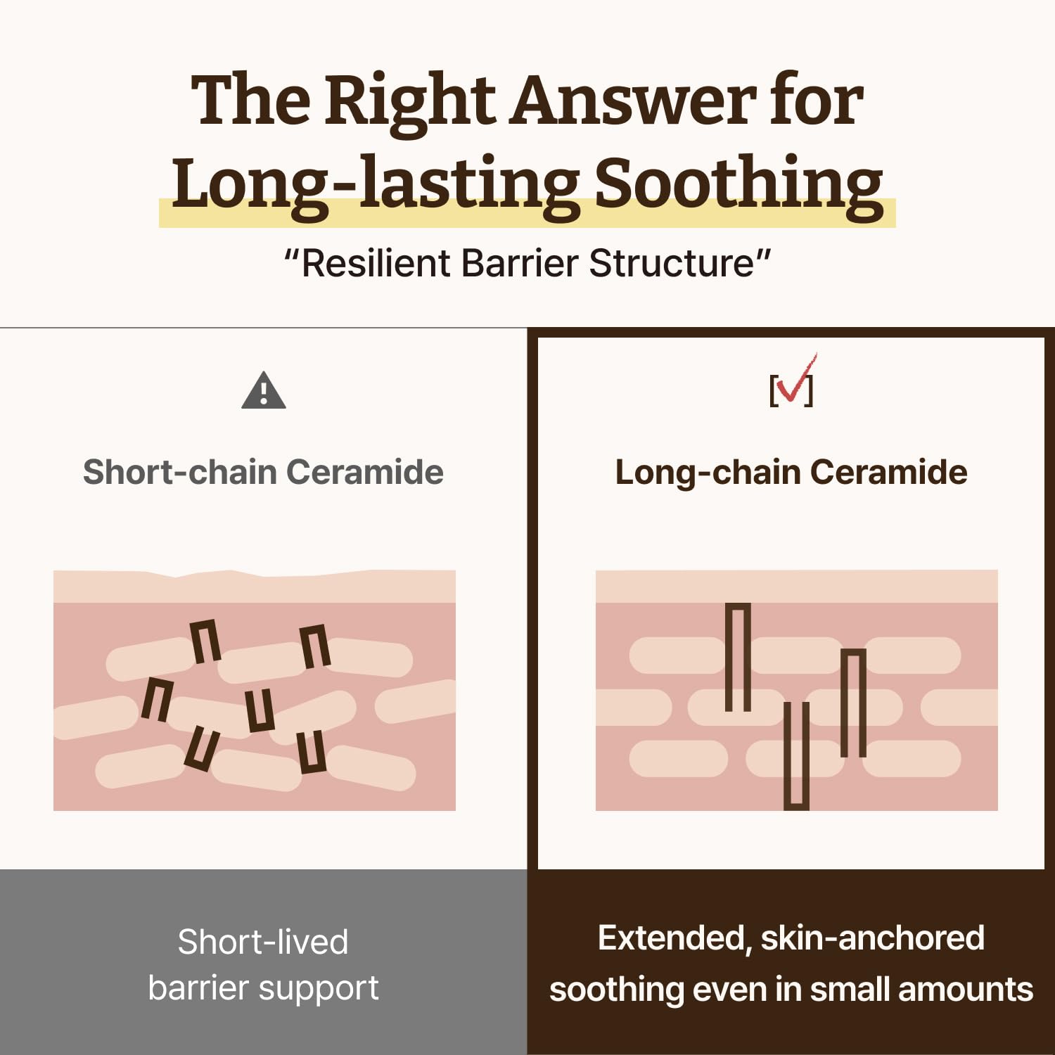 Advanced LC-Ceramide Barrier Cream